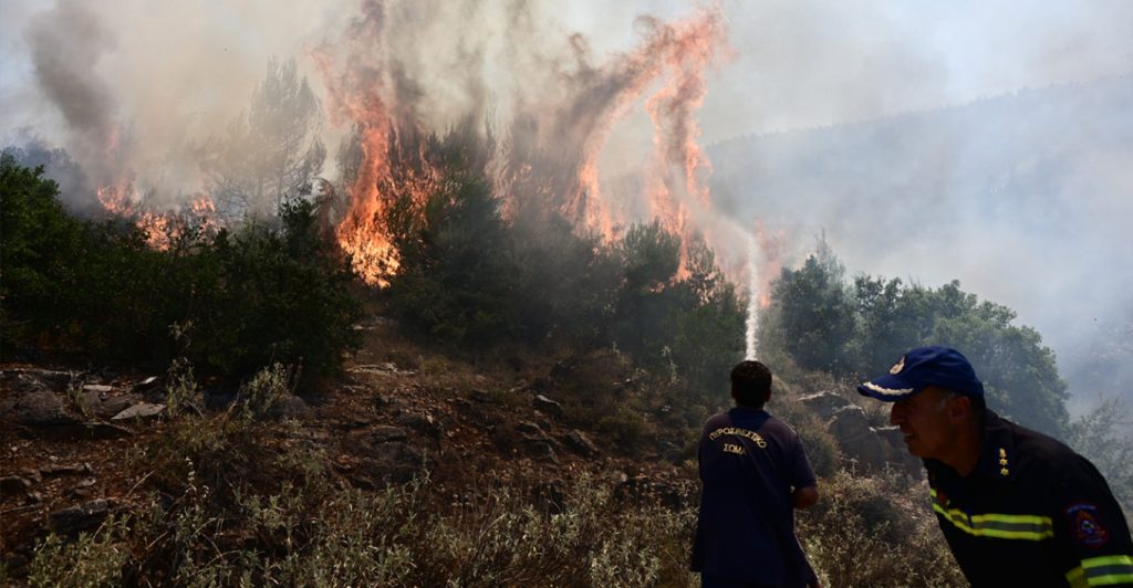 Πήλιο: Πρόστιμο σε άνδρα στα Χάνια – Έκοβε μέταλλα με ηλεκτρικό τροχό σε δάσος