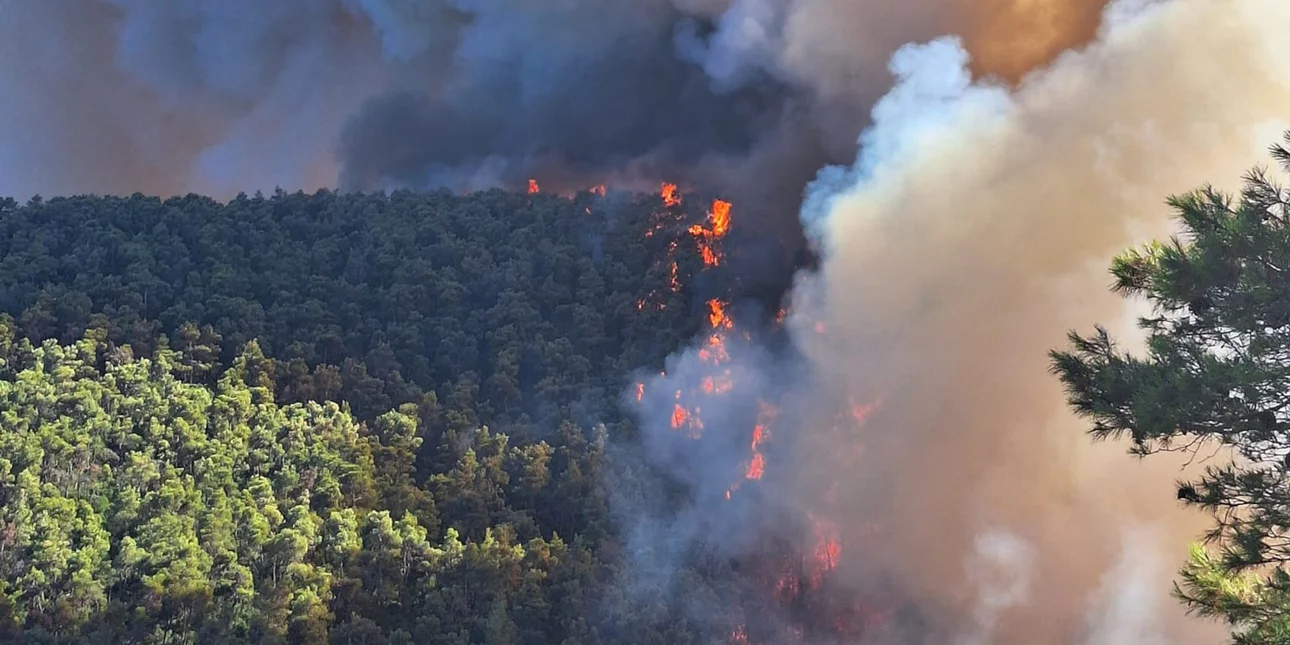 Αναζωπύρωση της πυρκαγιάς στα Δερβενοχώρια – Η φωτιά κατευθύνεται προς την κορυφογραμμή