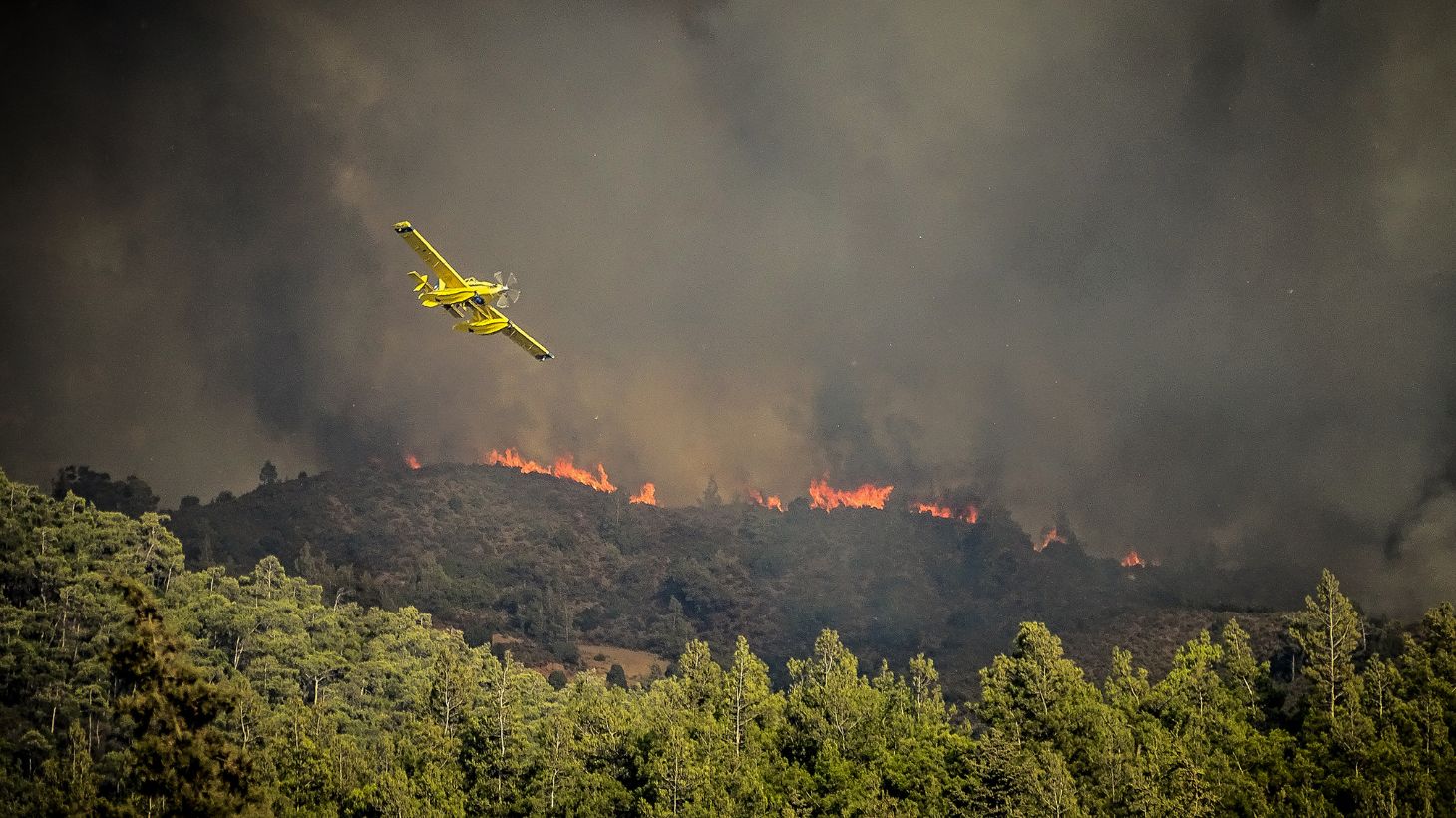 Φωτιά στη Ρόδο: Το ΕΚΑΒ έκανε οκτώ διακομιδές – Σε πάνω από 60 άτομα δόθηκαν οι πρώτες βοήθειες