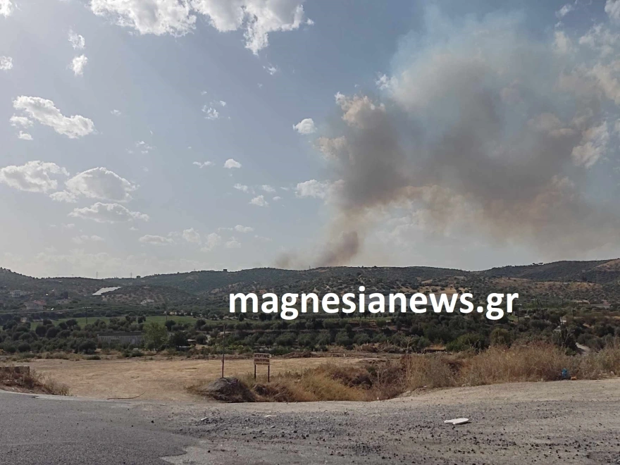 Φωτιά ξέσπασε στην περιοχή πεδίου βολής Βόλου – Iσχυρές δυνάμεις επιχειρούν στο σημείο