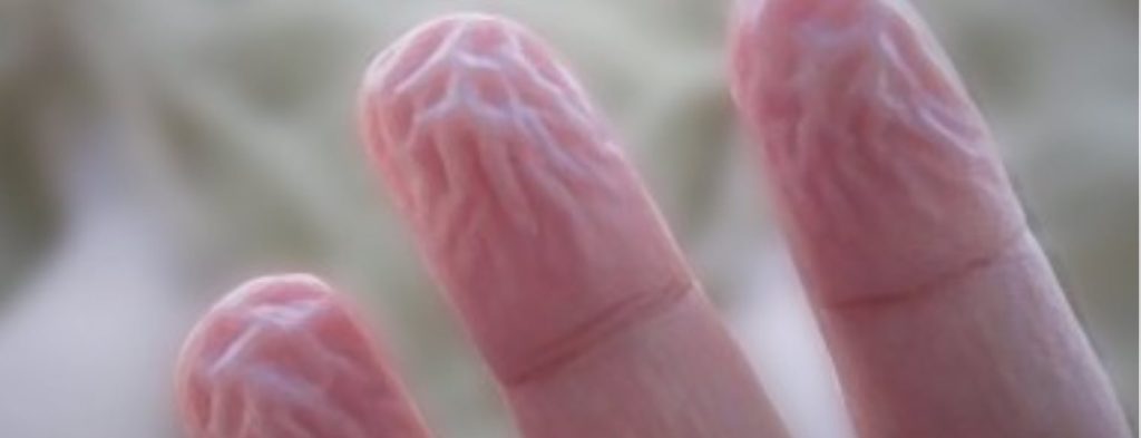 Γιατί ζαρώνουν τα δάχτυλά σας μέσα στο νερό
