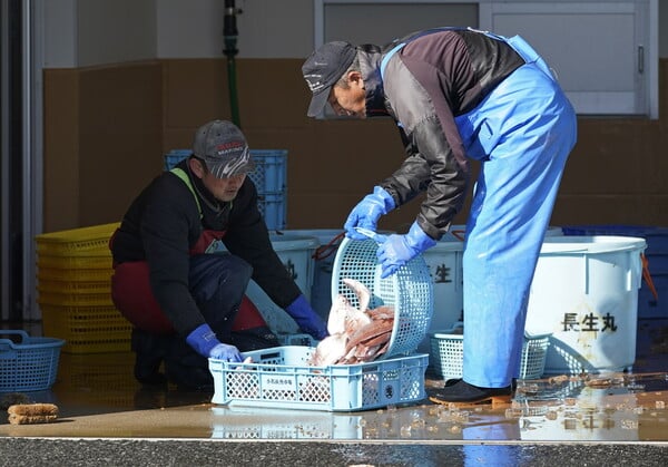 Ιαπωνία: Εντοπίστηκε ψάρι με ραδιενέργεια 180 φορές πάνω από το όριο ασφαλείας