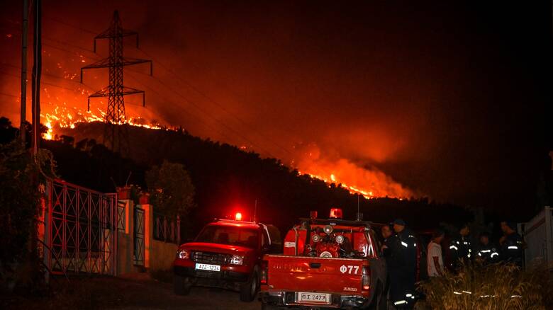 Φωτιά στην Κάρυστο: Τα 20 μέτρα φτάνουν οι φλόγες – «Χρειαζόμαστε περισσότερα εναέρια μέσα» λέει ο δήμαρχος