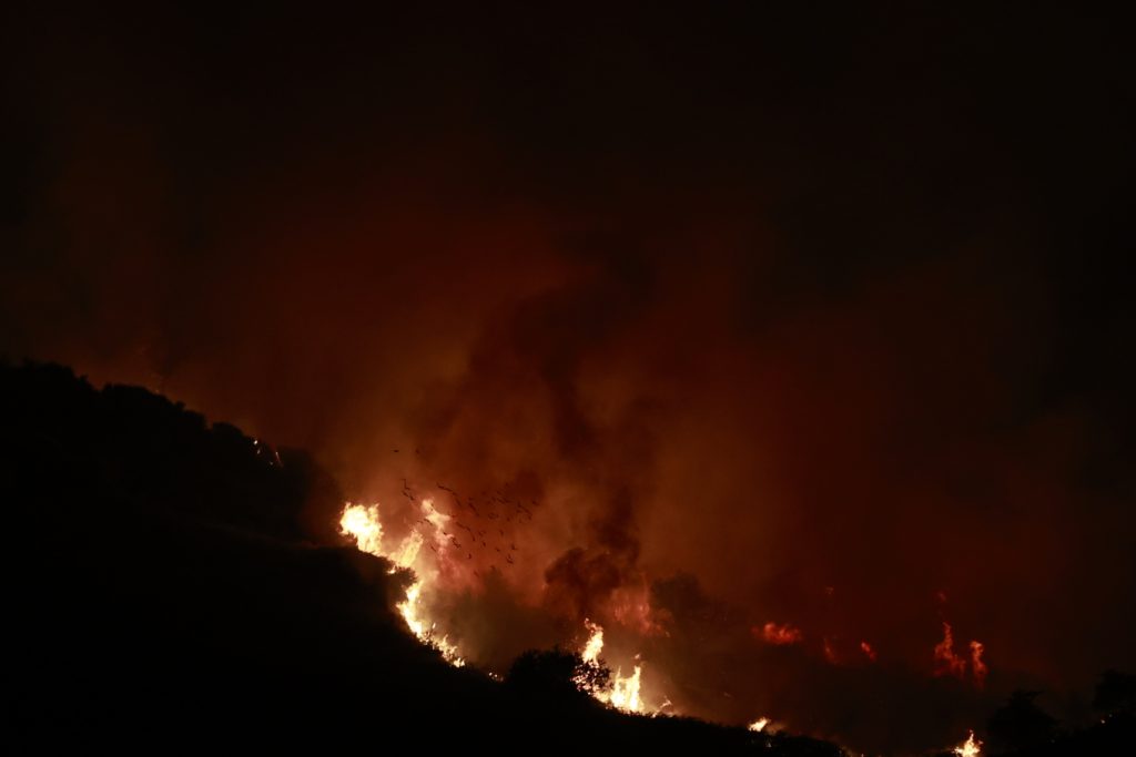 Νύχτα «κόλαση» σε Κέρκυρα: Δραματική κατάσταση με πολίτες να εγκαταλείπουν δια θαλάσσης – Ανεξέλεγκτη η φωτιά σε Ρόδο, Αίγιο, Κάρυστο