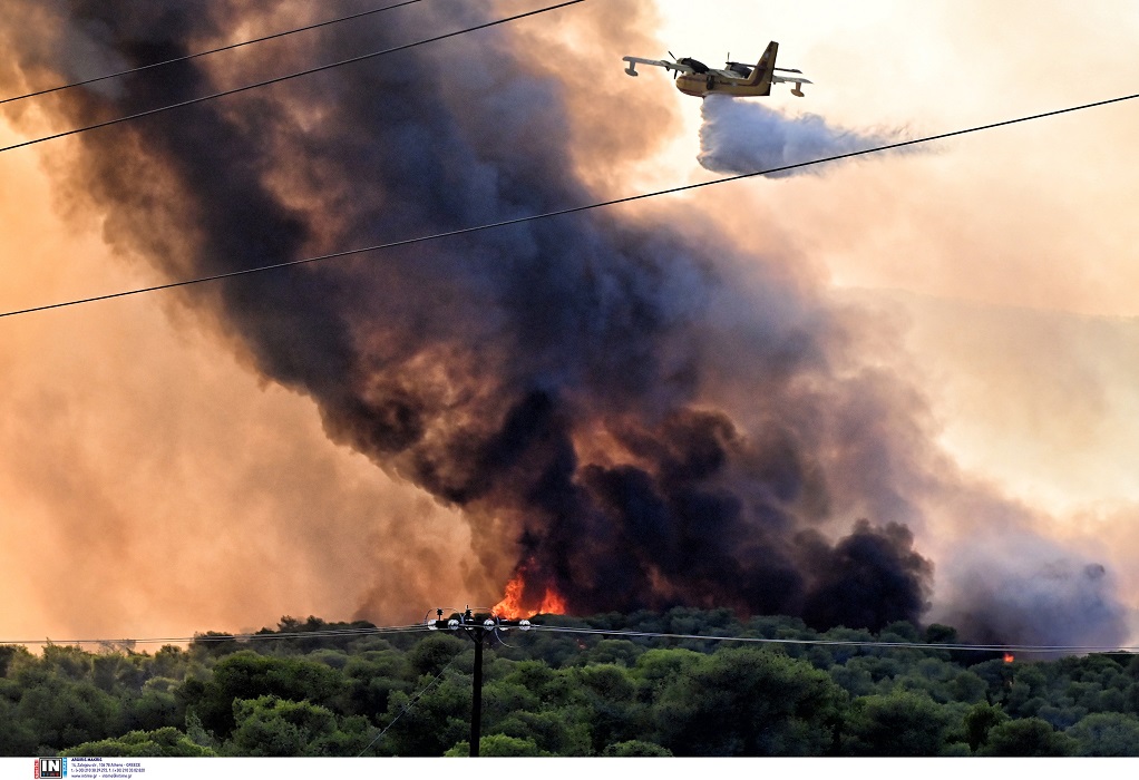 Υπό μερικό έλεγχο οι φωτιές σε Κάρυστο και Πύλο: Ξέσπασαν 31 δασικές πυρκαγιές μέσα σε 24 ώρες