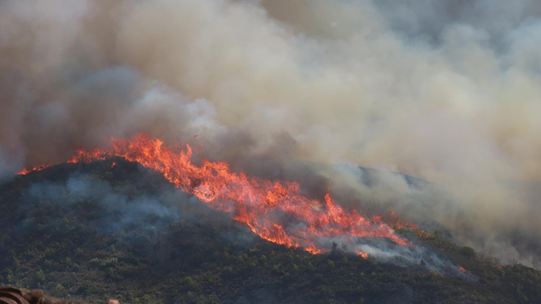 Χαλκιδική: Απαγορεύτηκε η κυκλοφορία σε δασικές περιοχές λόγω υψηλού κινδύνου εκδήλωσης πυρκαγιάς