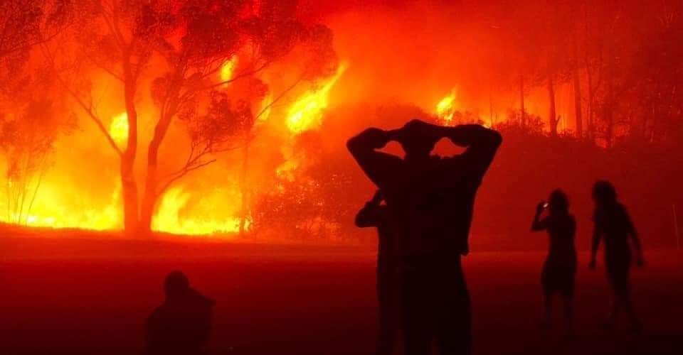 Αλγερία: Φονικές πυρκαγιές εν μέσω καύσωνα – Τουλάχιστον 34 νεκροί (βίντεο)