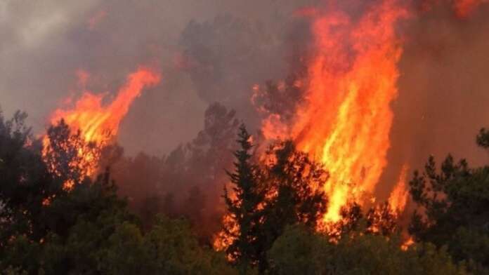 Κύπρος: Πυρκαγιά ξέσπασε στο κρατικό δάσος της Πάφου κοντά σε ιστορικό μοναστήρι