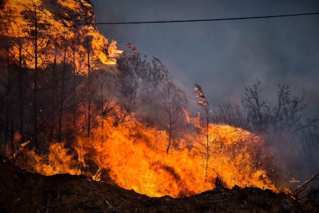 Φωτιά στη Μαγνησία: Πυροσβέστης μεταφέρθηκε με βαριά εγκαύματα στην Αθήνα