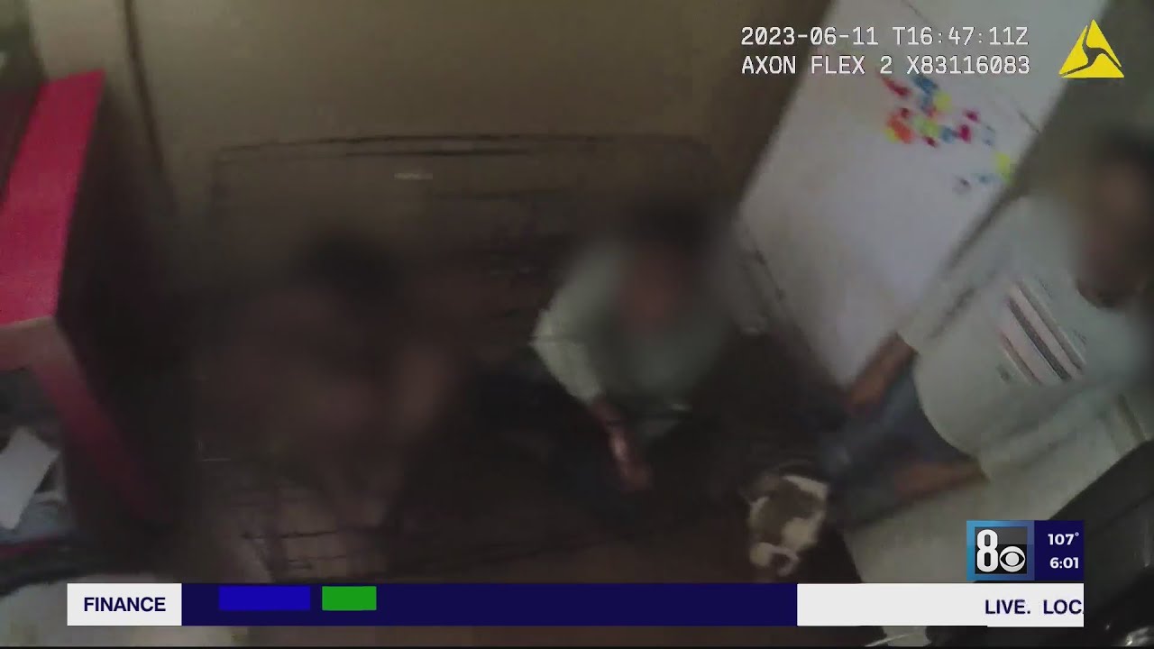 Λας Βέγκας: Γονείς κλείδωναν τα παιδιά τους σε κλουβιά και τα κακοποιούσαν – Συγκλονιστικό βίντεο