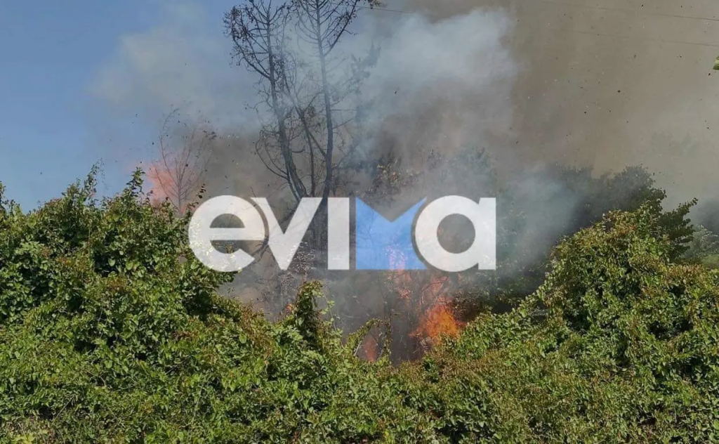 Εύβοια: Υπό μερικό έλεγχο τέθηκε η φωτιά στο χωριό Βίταλο του Δήμου Κύμης Αλιβερίου (upd)