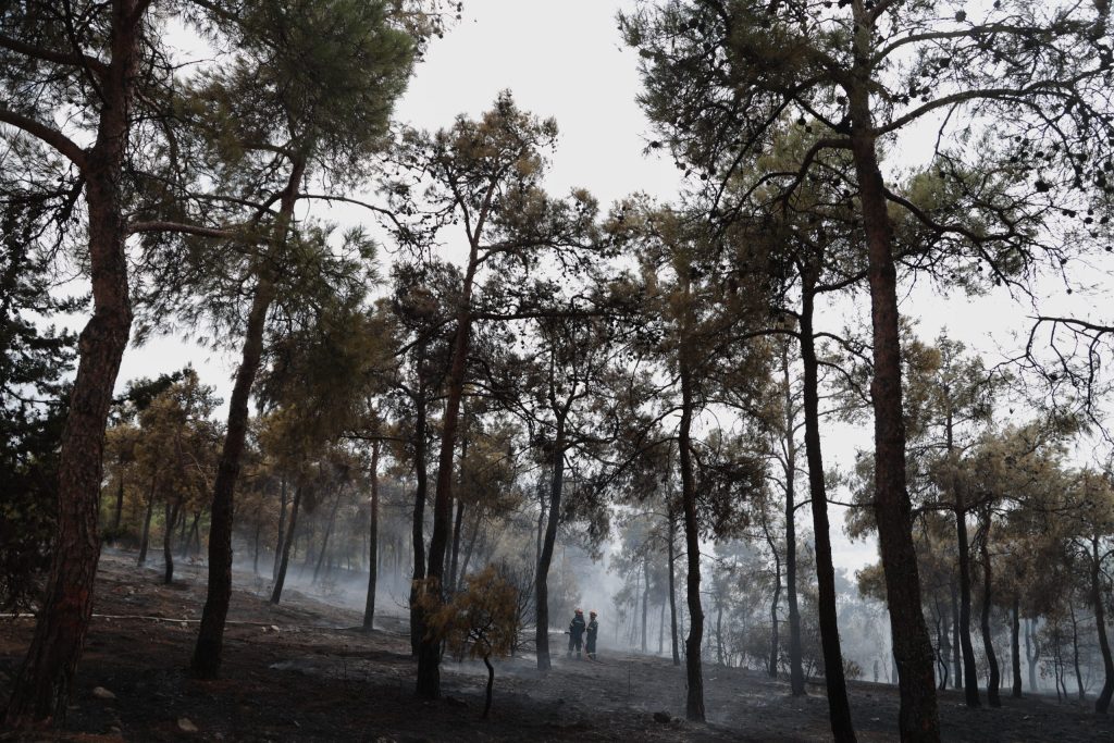Θεσσαλονίκη: Μπαίνει ραντάρ στο δάσος Σέιχ Σου – Θα εντοπίζει τη φωτιά στο λεπτό (φώτο)