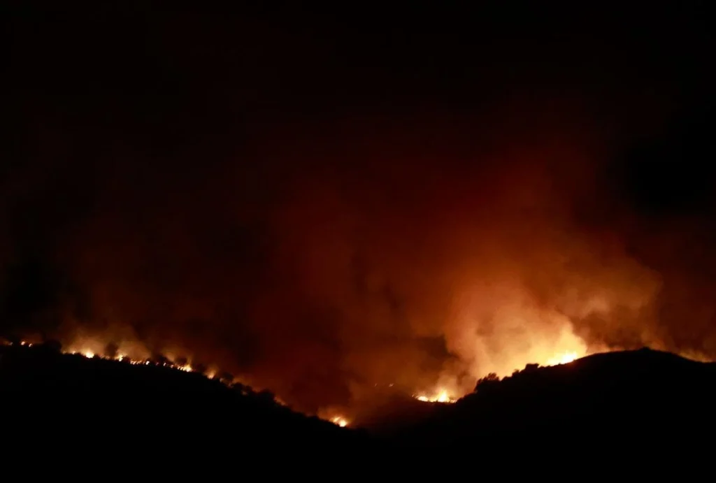 Περισσότερα από 434.000 στρέμματα έκαψαν οι 13 μεγάλες πυρκαγιές του Ιουλίου
