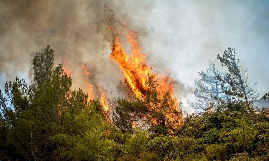 Φωτιά σε δασική έκταση στον Μαχαίρα Αιτωλοακαρνανίας