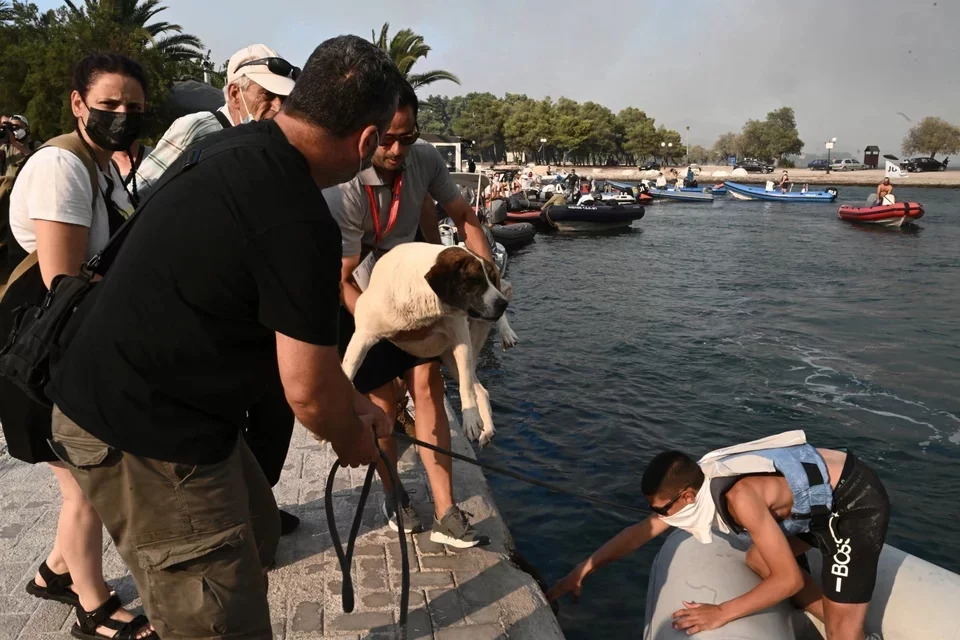 Νέα Αγχίαλος: 133 άτομα διέφυγαν από το λιμάνι την ώρα της φωτιάς και των εκρήξεων