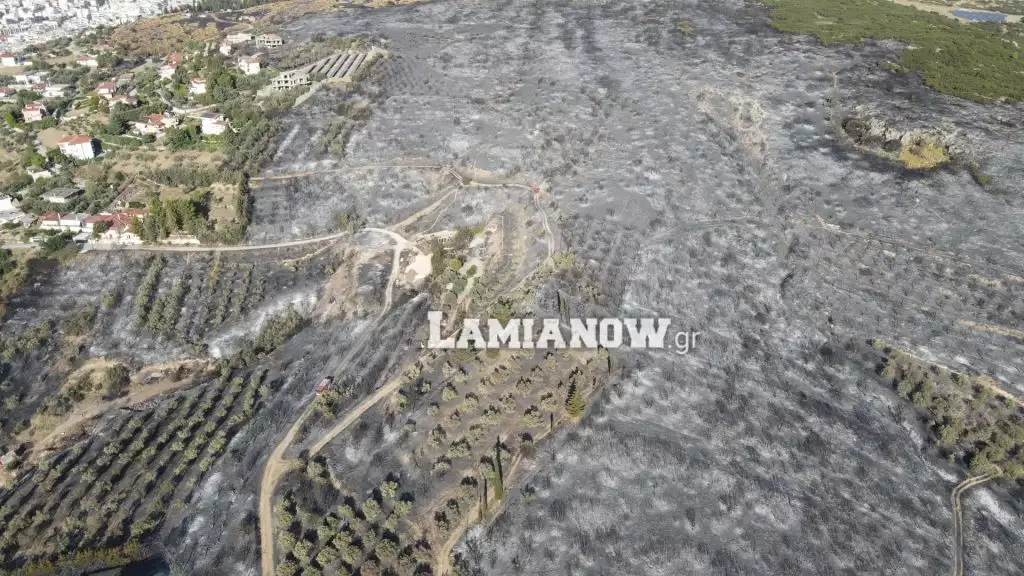 Έγιναν όλα στάχτη: Τραγικές οι εικόνες μετά το πέρασμα της φωτιάς από τη Λαμία (βίντεο-φωτο)