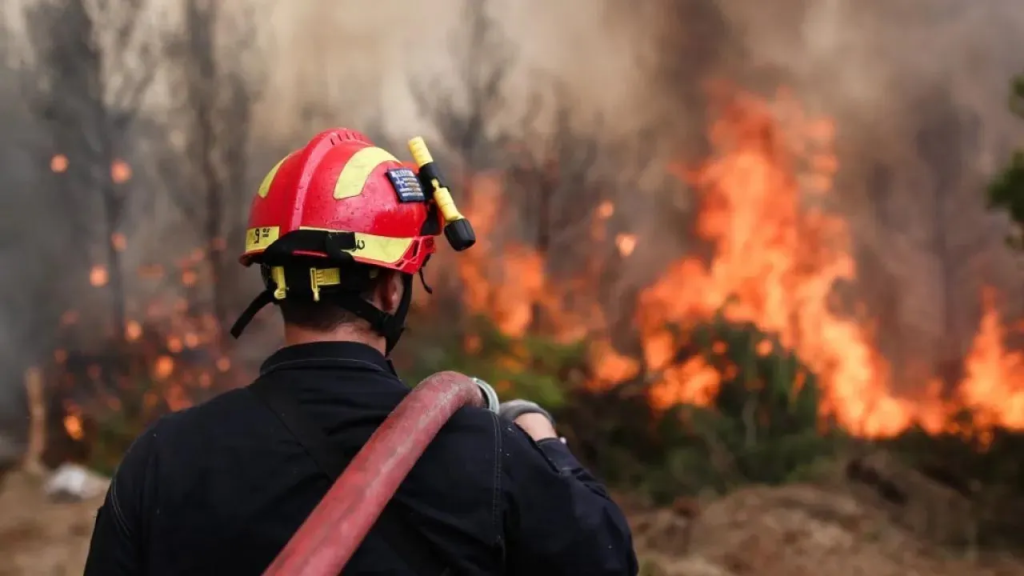 Φωτιά σε αγροτοδασική έκταση στην Τανάγρα