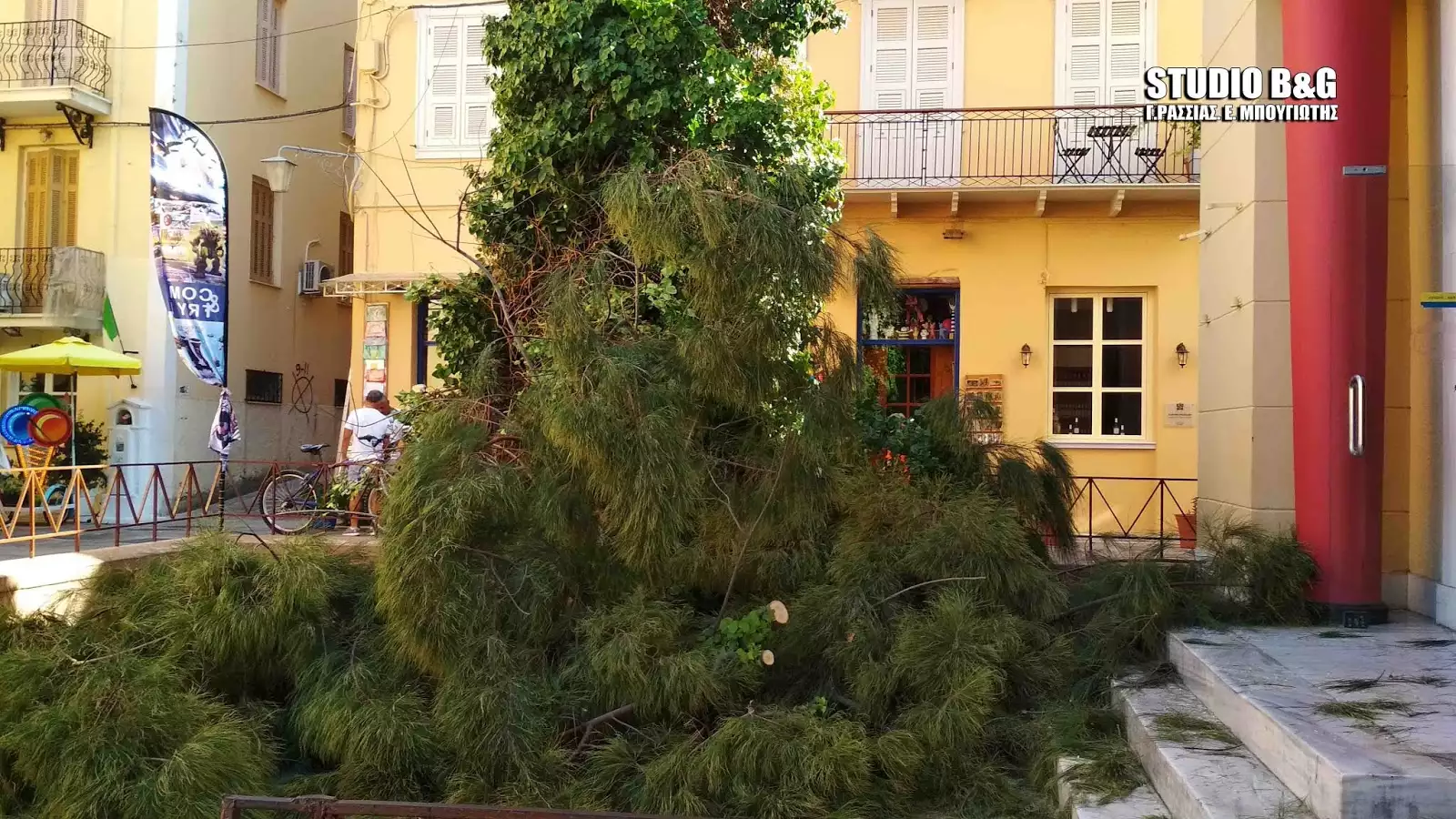 Ναύπλιο: Κομμάτι από πεύκο έπεσε σε κεντρική πλατεία – Από θαύμα δεν υπήρξαν θύματα