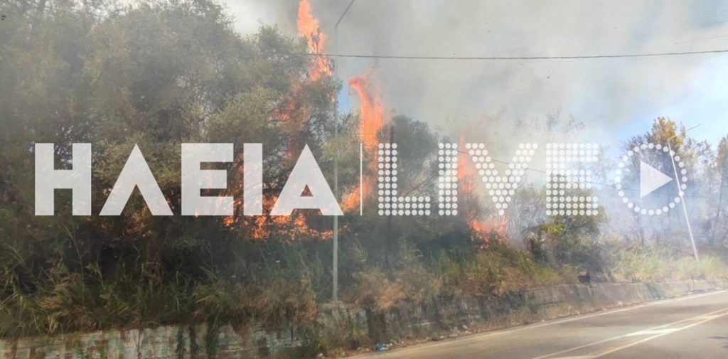 Μεγάλη φωτιά στην Ηλεία: Απειλείται και η Αρχαία Ολυμπία – 112 για εκκένωση – Κοντά σε σπίτια οι φλόγες