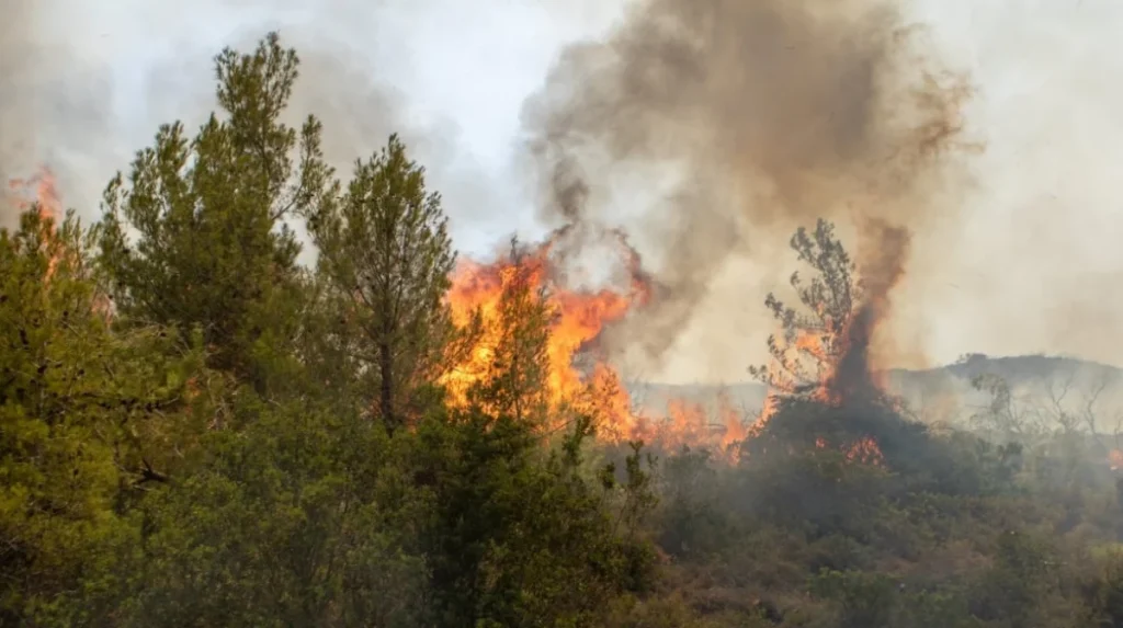 Κέρκυρα: Απαγόρευση κυκλοφορίας αύριο σε τέσσερις περιοχές του νησιού λόγω κινδύνου πυρκαγιάς