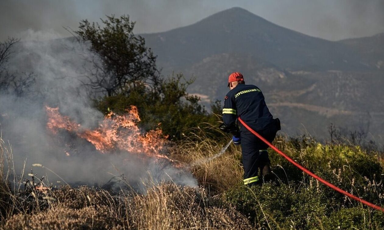 Φωτιές: 55 δασικές πυρκαγιές το τελευταίο 24ωρο – Υπό έλεγχο τα μέτωπα σε Ηλεία, Αγρίνιο και Ρέθυμνο