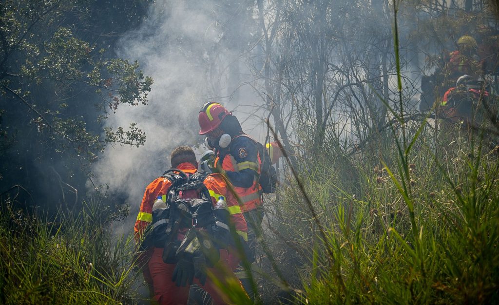 Κύμη Ευβοίας: Η φωτιά τέθηκε υπό έλεγχο πριν φτάσει κοντά σε σπίτια (upd)