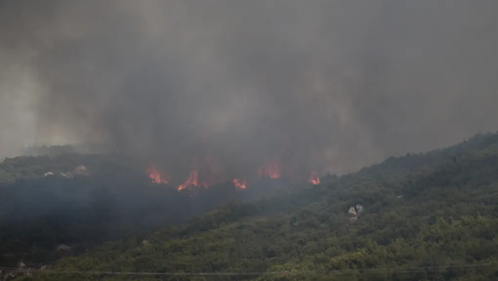 Πυρκαγιά ξέσπασε σε δασική έκταση στη Χίο