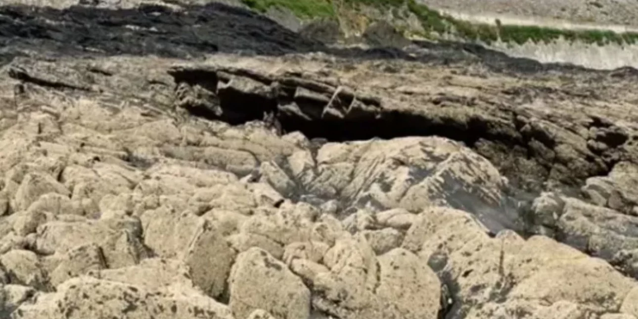Η οπτική ψευδαίσθηση που θα σου πάρει το «μυαλό»: Εσύ μπορείς να βρεις τον σκύλο μέσα στους βράχους; (φωτο)