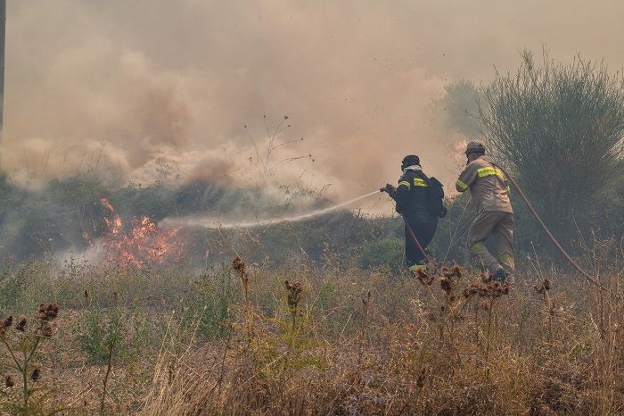 Πυρκαγιά ξέσπασε σε χαμηλή βλάστηση στον Βαρνάβα Αττικής