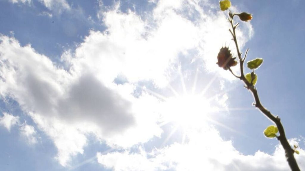 Καιρός: Υψηλές θερμοκρασίες και άνεμοι έως 6 μποφόρ σήμερα