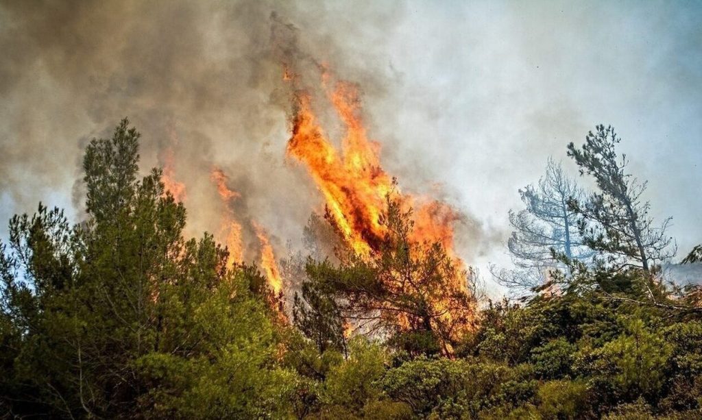 Πολιτική Προστασία: Σε ποιες περιοχές είναι υψηλός ο κίνδυνος φωτιάς σήμερα