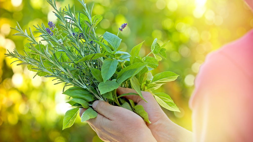 Τα πέντε βότανα που θα σας βοηθήσουν να μειώσετε την υπέρταση