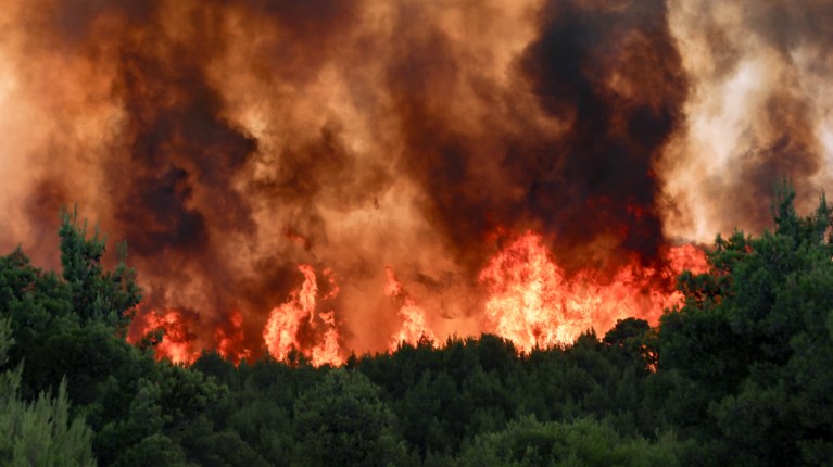 Μαίνεται η φωτιά στα Γρεβενά – Ολονύχτια μάχη με τις αναζωπυρώσεις