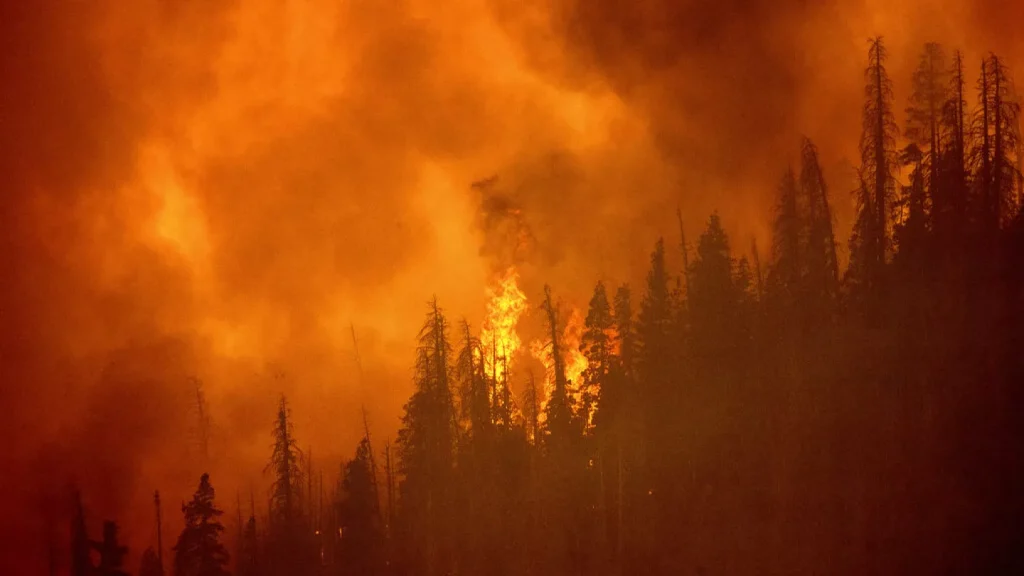 Copernicus: Σε πρωτοφανή επίπεδα οι εκπομπές άνθρακα από τις δασικές πυρκαγιές στον Καναδά