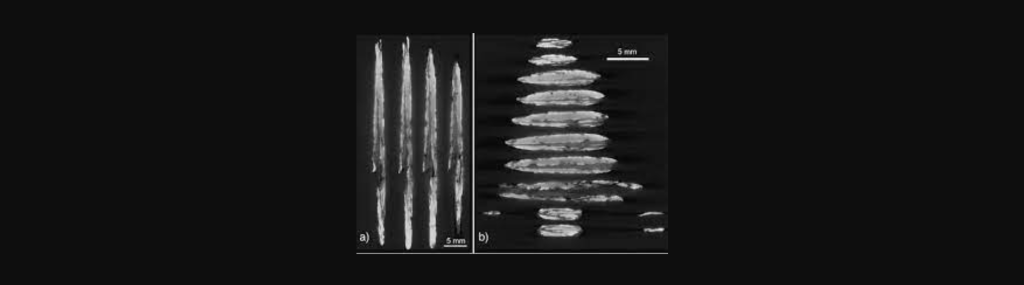 «Εξωγήινο» όπλο ηλικίας 3.000 ετών ανακαλύφθηκε στην Ελβετία (φωτο)