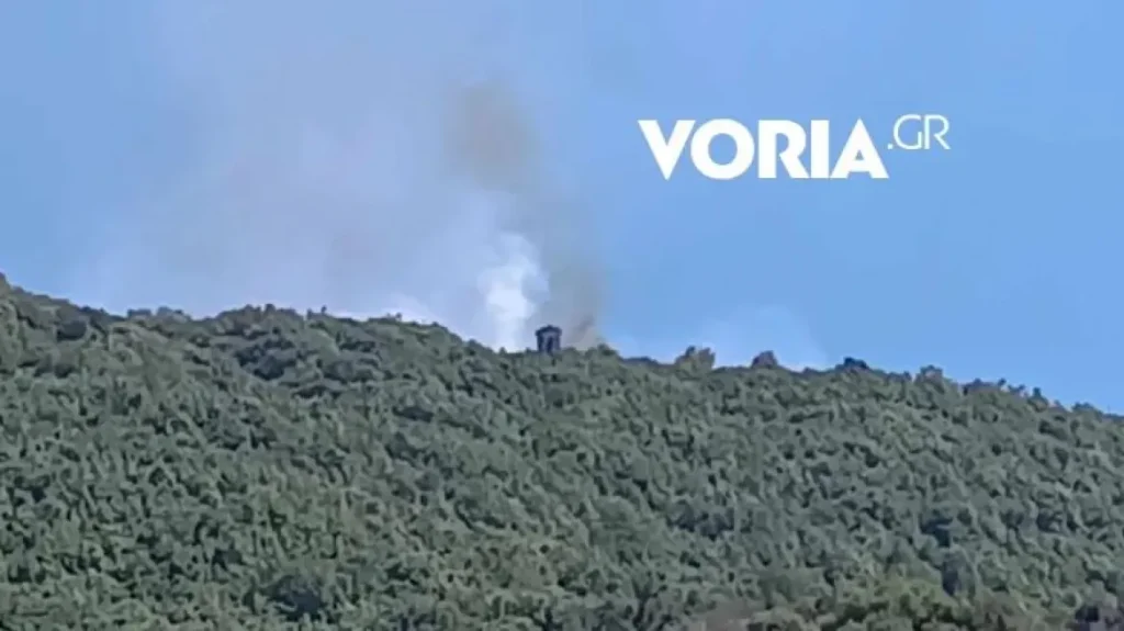 Συναγερμός στην Πυροσβεστική: Ξέσπασε φωτιά στο Άγιον Όρος (βίντεο)