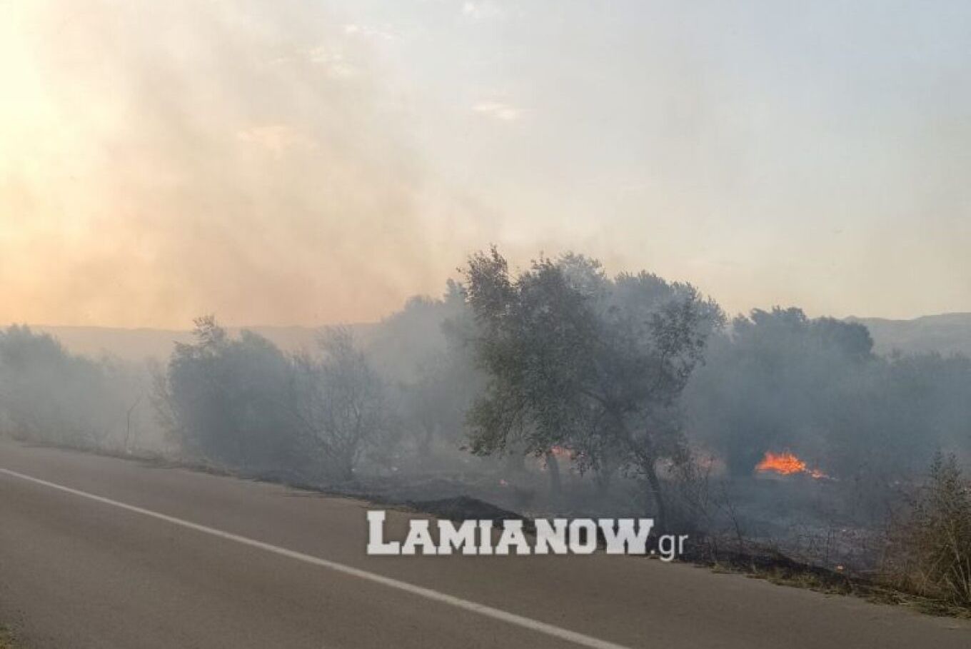Λαμία: Υπό έλεγχο η φωτιά – Μεγάλη κινητοποίηση της Πυροσβεστικής (φώτο)