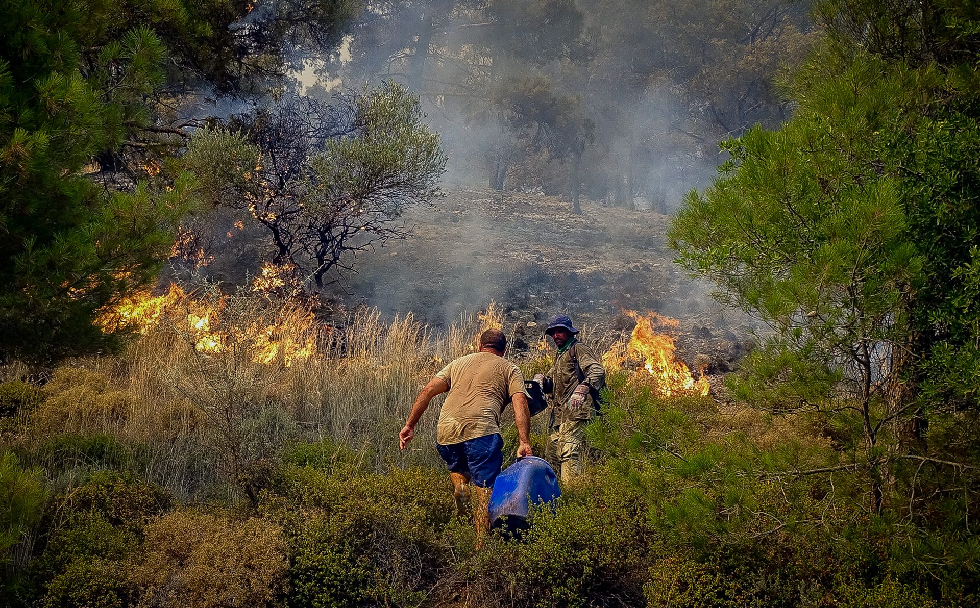 «Έφυγε» από τη ζωή ο 67χρονος μελισσοκόμος που υπέστη εγκαύματα στη φωτιά της Τιθορέας – Έξι νεκροί και 550.000 στρέμματα από τις πυρκαγιές!