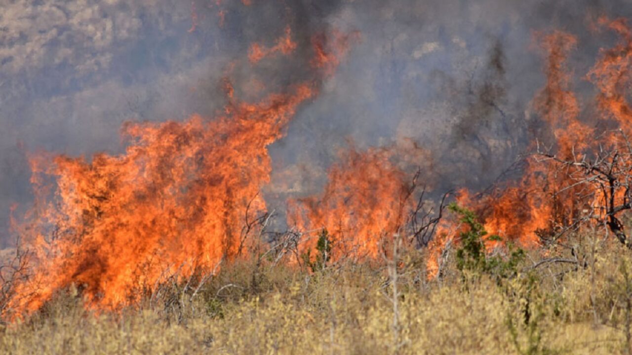 Φωτιά στον Όλυμπο: Καίει σε δύσβατη περιοχή στην Καρυά Ελασσόνας – «Σηκώθηκαν» εναέρια μέσα (upd)