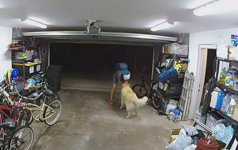 ΗΠΑ: Σταμάτησε τη ληστεία και άρχισε να παίζει με τον σκύλο του σπιτιού (βίντεο)