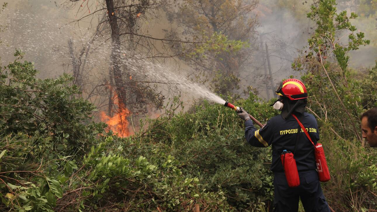 Πυρκαγιά ξέσπασε στην περιοχή Δεβελέκι στην Χαλκιδική – Καίει κοντά στην κατασκήνωση Ελαιώνες