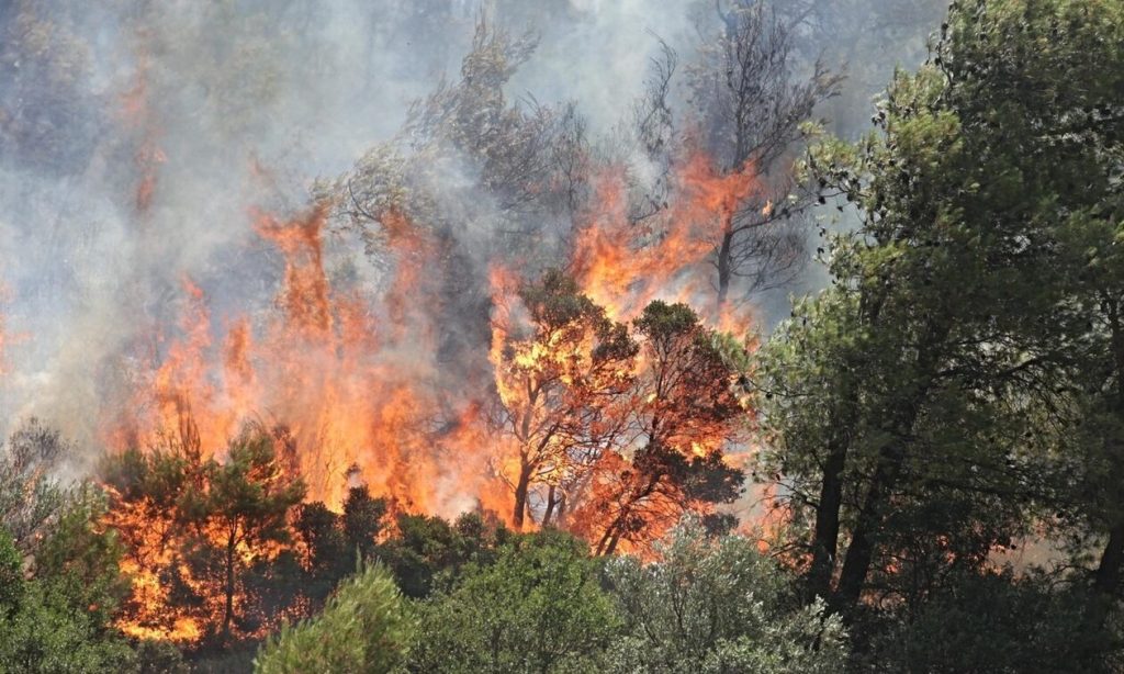Φωτιά σε χαμηλή βλάστηση στη Σιταριά Φλώρινας