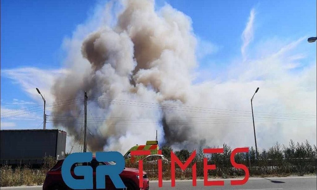 Θεσσαλονίκη: «Μάχη» της πυροσβεστικής να μην επεκταθεί η φωτιά στον Γαλλικό ποταμό (βίντεο) (upd)