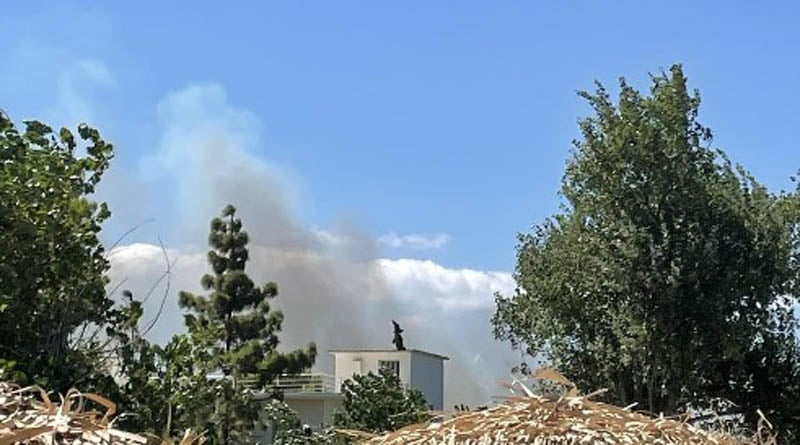 Φωτιά στον Μαραθώνα: Χωρίς ενεργό μέτωπο η πυρκαγιά – Συνεχίζονται οι ρίψεις για να μην υπάρξουν αναζωπυρώσεις (upd)
