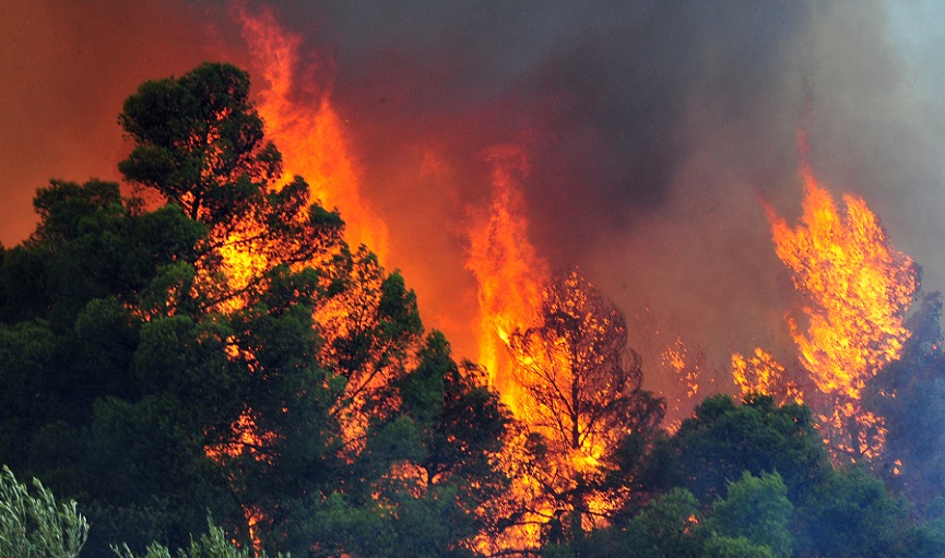 Σε κατάσταση φυσικής καταστροφής κήρυξε o T.Μπάιντεν την Χαβάη