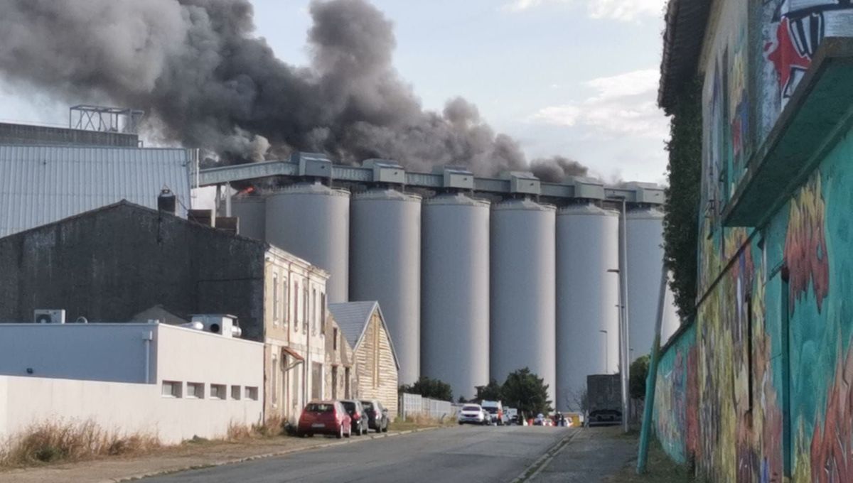 Περίεργες ανατινάξεις σιταποθηκών σε Γαλλία και Τουρκία ανεβάζουν τις τιμές του σιταριού και τον κίνδυνο επισιτιστικής κρίσης!