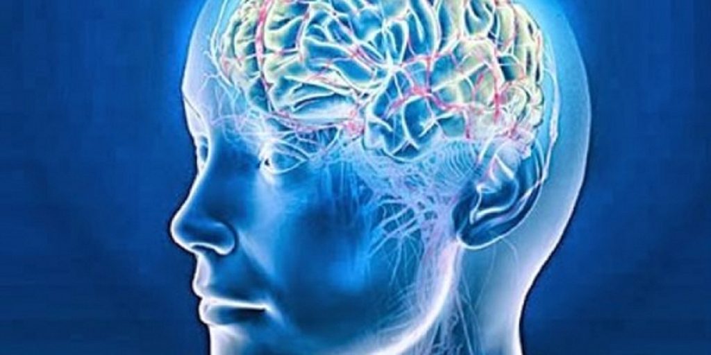 Τις πιθανές ρίζες της διαταραχής του φάσματος του αυτισμού στον εγκέφαλο ανακάλυψαν επιστήμονες