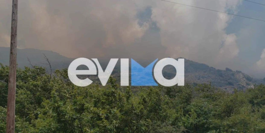Μαίνεται η φωτιά στην Κάρυστο: Ενισχύθηκαν οι δυνάμεις της Πυροσβεστικής (upd)