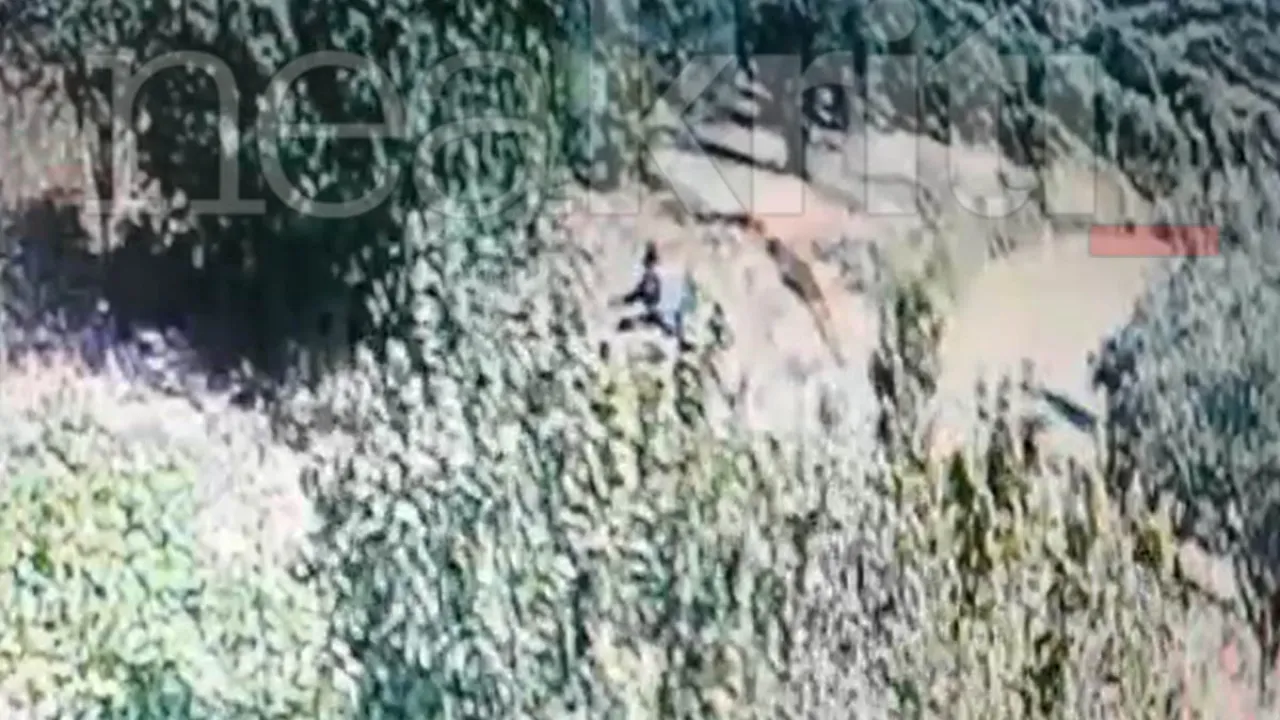 Βίντεο ντοκουμέντο: Η στιγμή που 70χρονος βάζει φωτιά στη Γόρτυνα Ηρακλείου