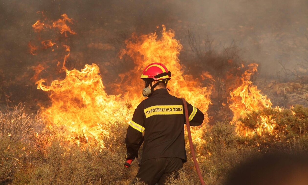 Φωτιά στην Κάρυστο – Στο σημείο πνέουν ισχυροί άνεμοι
